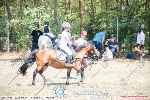 Mintakép 20260801-2613