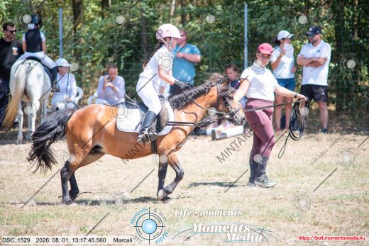 Mintakép 20260801-2618