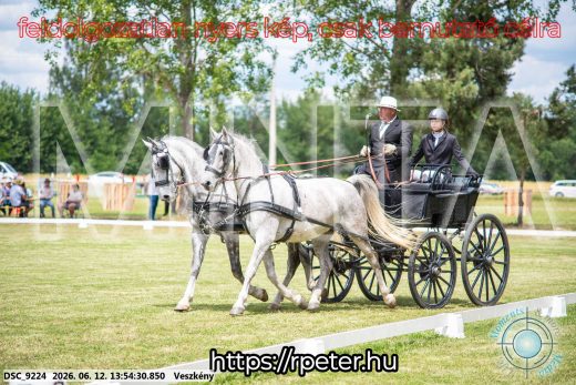 Mintakép 20260612-785