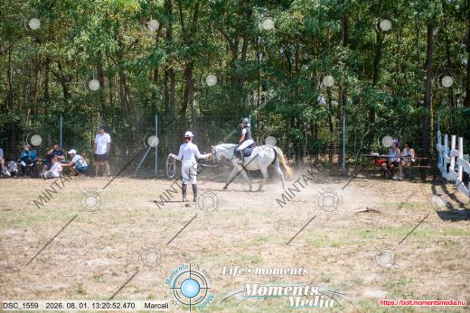 Mintakép 20260801-2629