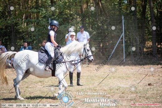 Mintakép 20260801-2630