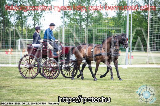 Mintakép 20260612-786