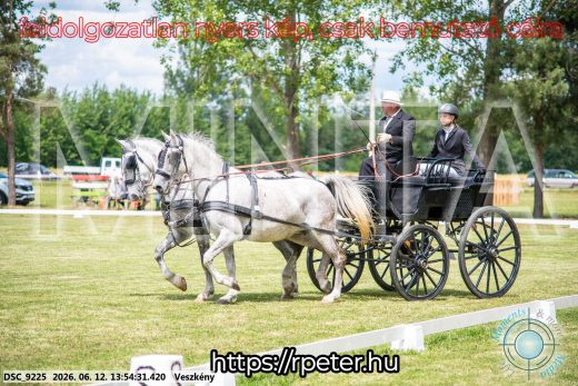 Mintakép 20260612-787
