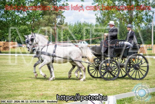 Mintakép 20260612-788