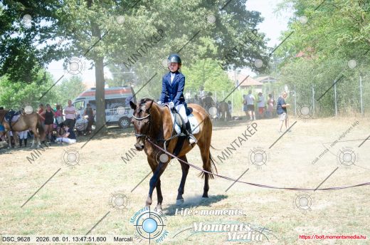 Mintakép 20260801-2654