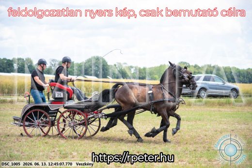 Mintakép 20260613-1408