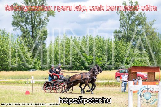Mintakép 20260613-1411