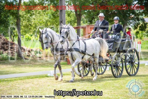 Mintakép 20260612-791
