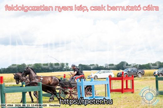 Mintakép 20260613-1413