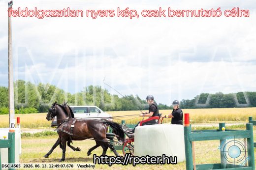 Mintakép 20260613-1414