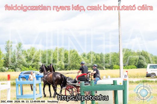 Mintakép 20260613-1416