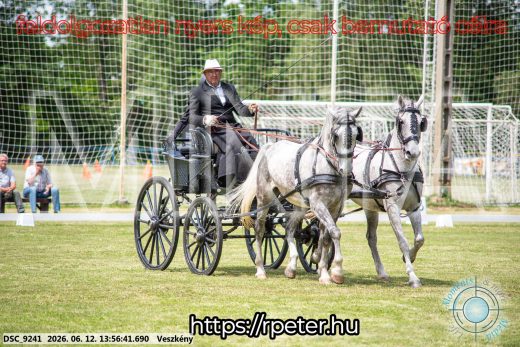 Mintakép 20260612-796