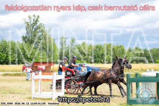 Mintakép 20260613-1418