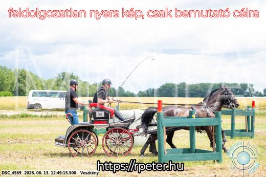 Mintakép 20260613-1419
