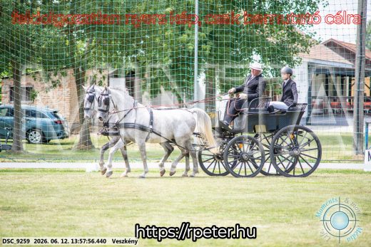 Mintakép 20260612-799