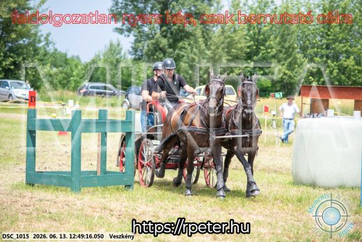 Mintakép 20260613-1420