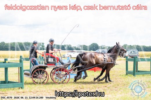 Mintakép 20260613-1421