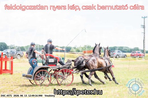 Mintakép 20260613-1422