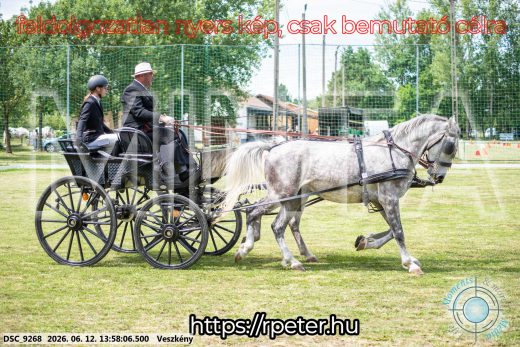 Mintakép 20260612-801