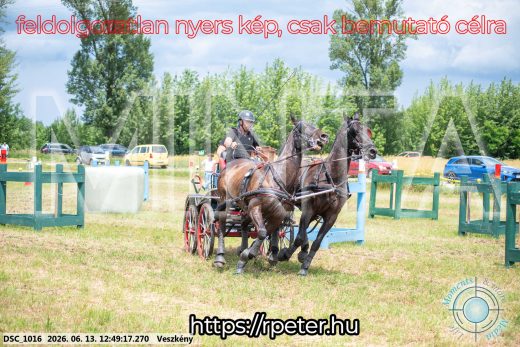 Mintakép 20260613-1423