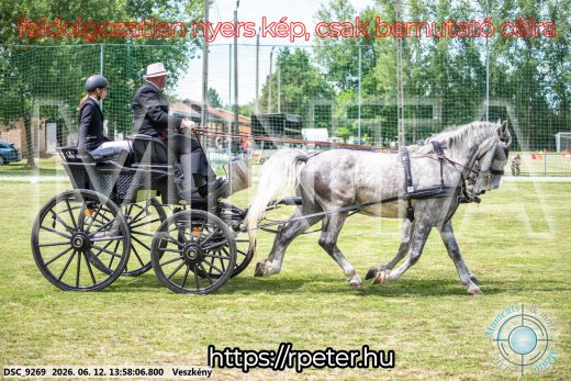Mintakép 20260612-802
