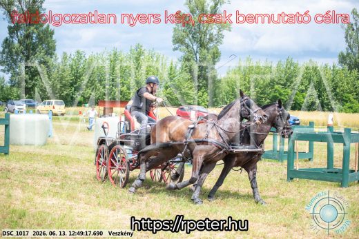 Mintakép 20260613-1424