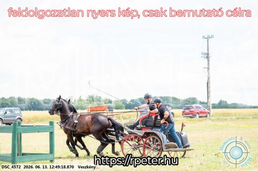 Mintakép 20260613-1425