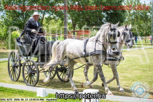 Mintakép 20260612-804