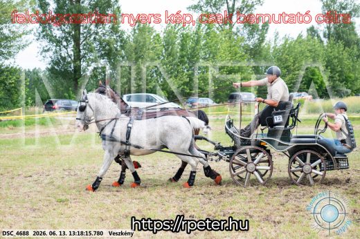 Mintakép 20260613-101