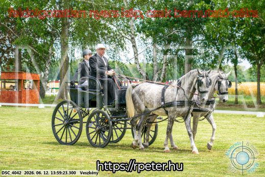 Mintakép 20260612-805
