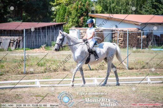 Mintakép 20260801-3019