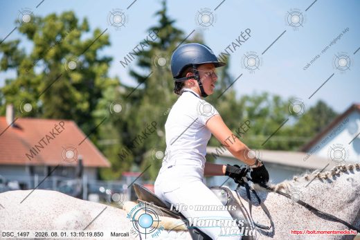 Mintakép 20260801-3022