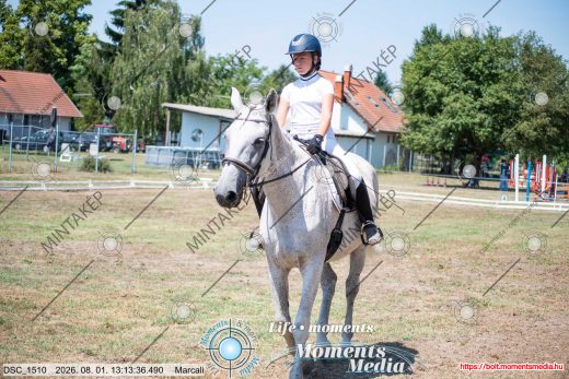 Mintakép 20260801-3029