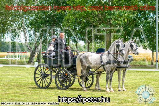 Mintakép 20260612-806