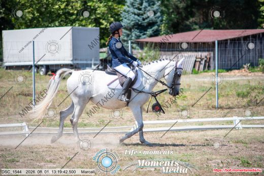 Mintakép 20260801-3047
