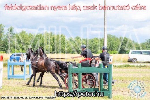 Mintakép 20260613-1429