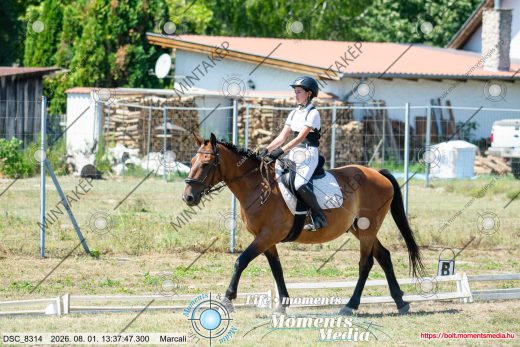Mintakép 20260801-3073