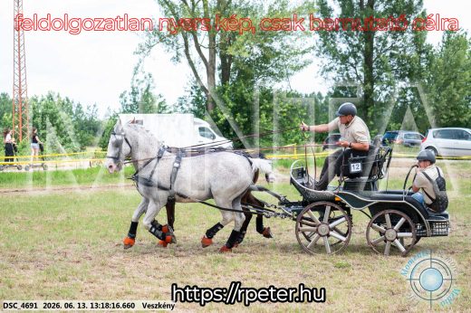 Mintakép 20260613-102