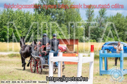 Mintakép 20260613-1431