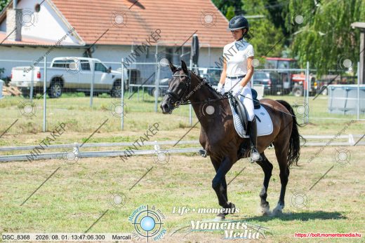 Mintakép 20260801-3103
