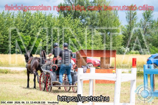 Mintakép 20260613-1432