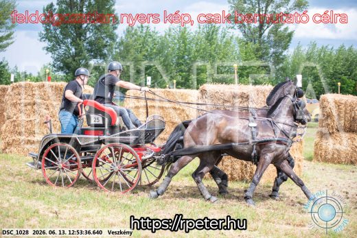 Mintakép 20260613-1434
