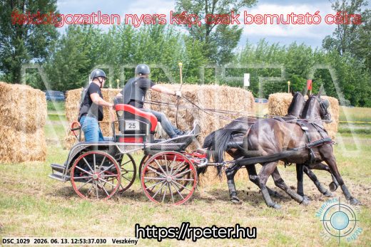 Mintakép 20260613-1435