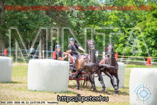 Mintakép 20260613-1437