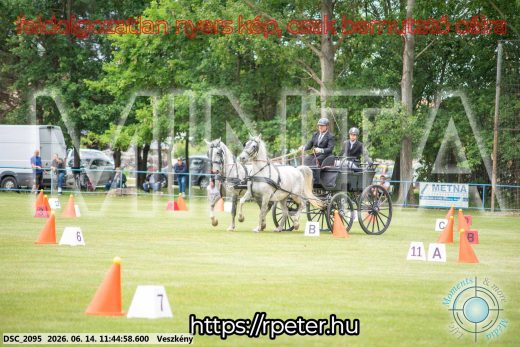 Mintakép 20260614-668