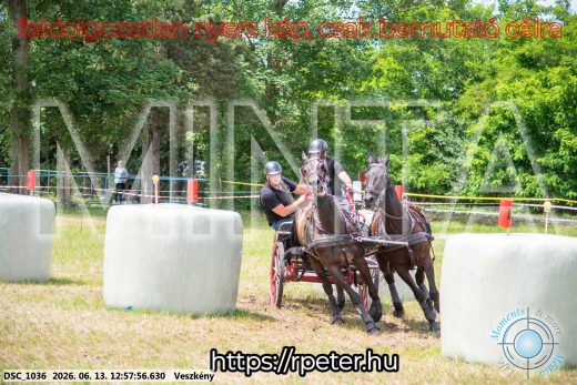 Mintakép 20260613-1438