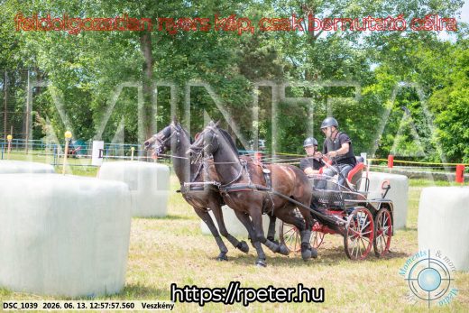 Mintakép 20260613-1439
