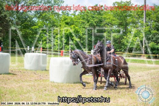 Mintakép 20260613-1441