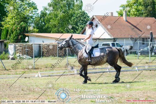 Mintakép 20260801-3319