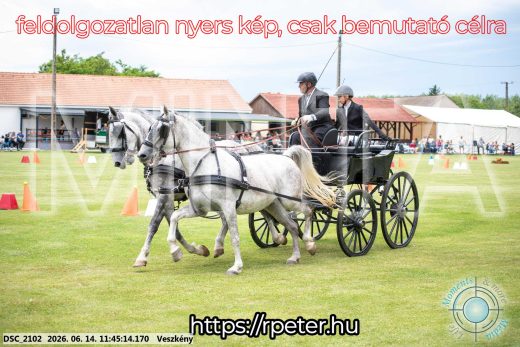 Mintakép 20260614-674